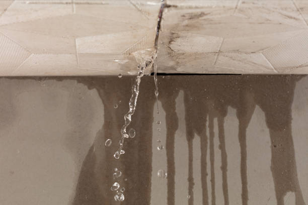 Professional Burst Pipe Cleanup technician working in San Antonio, FL